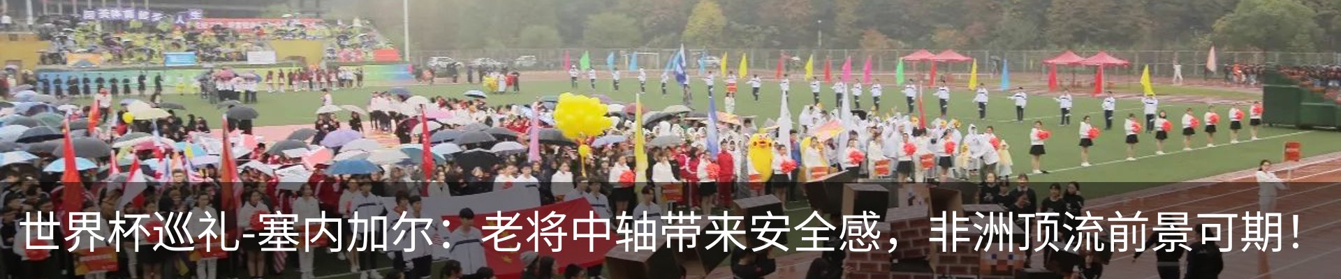 最新动态