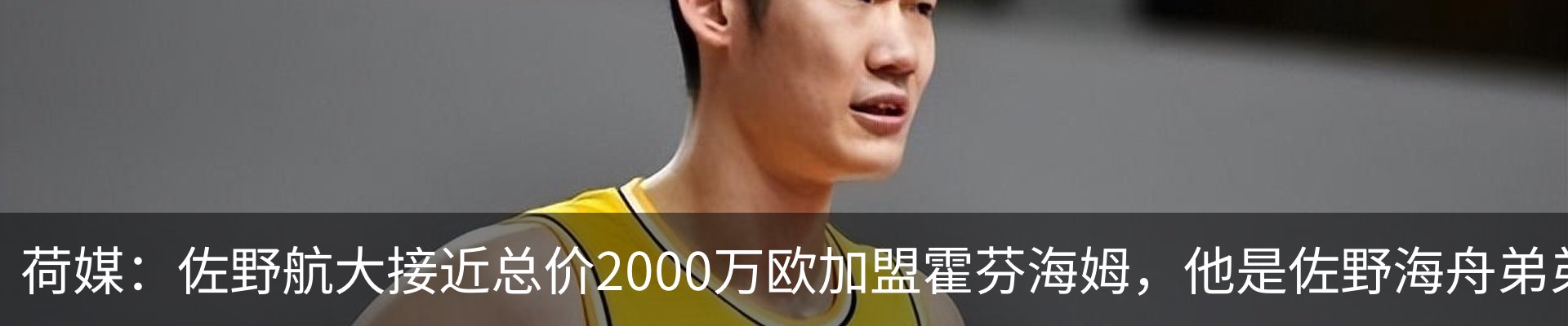 最新动态